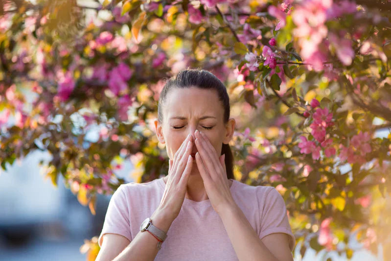 A Breath of Fresh Air: How To Relieve Seasonal Allergies