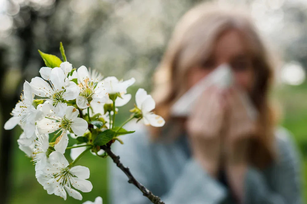 3 Tips to Manage Your Seasonal Allergies