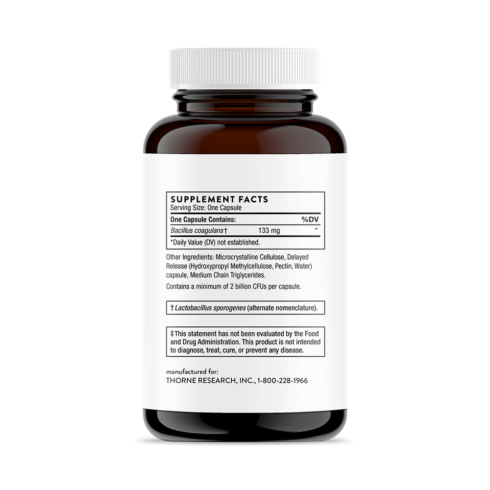 Bacillus Coagulans